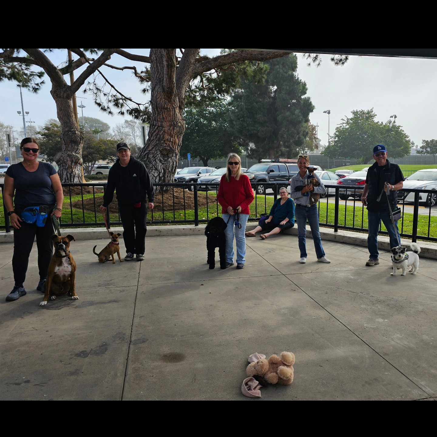 Training class group photo posted by Alex Macias Dog Training